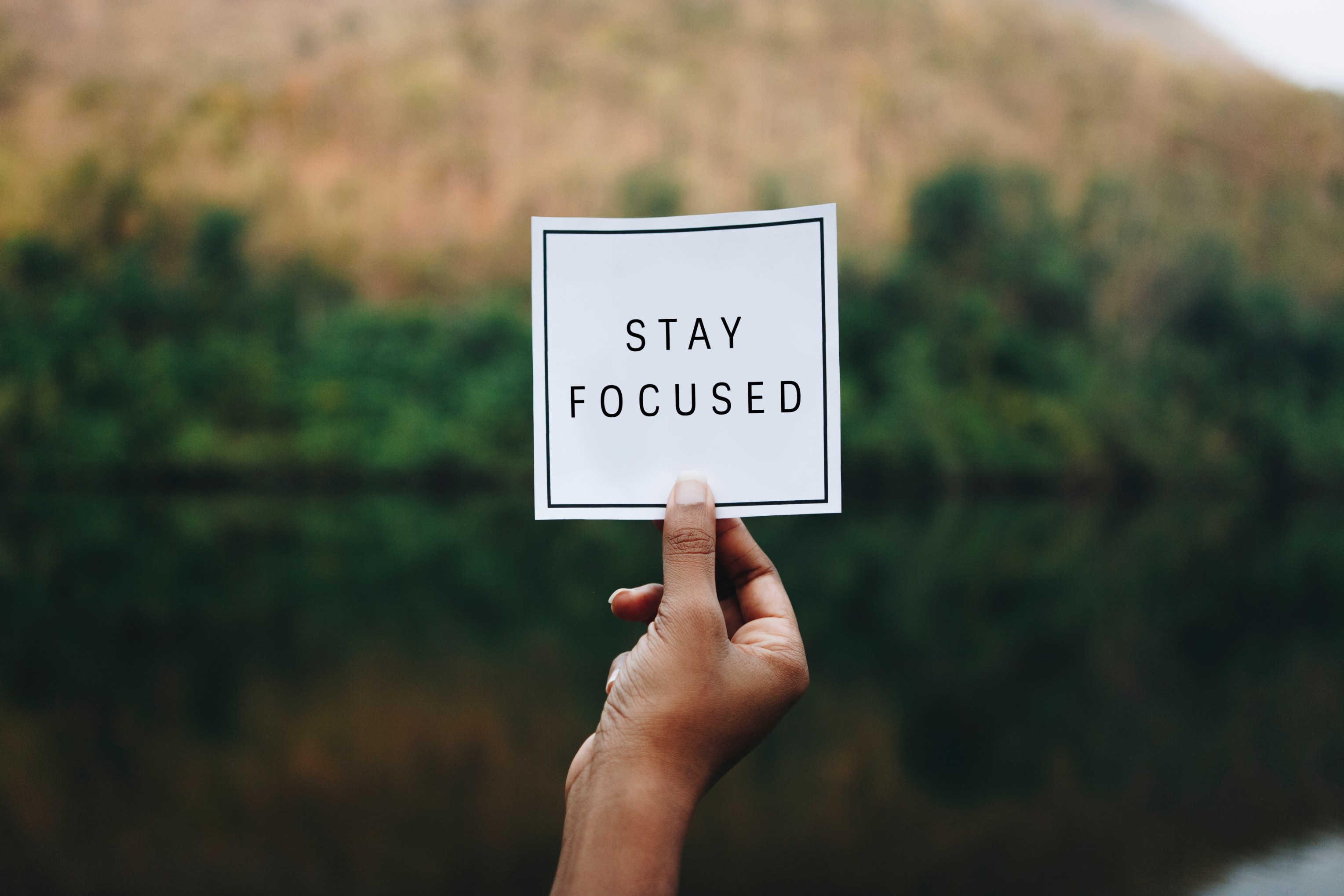 6 Ways You Can Stay Focused On Studies